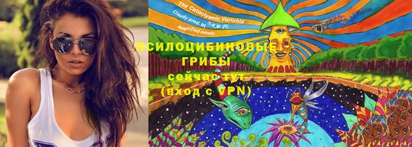 PSILOCYBIN Краснослободск