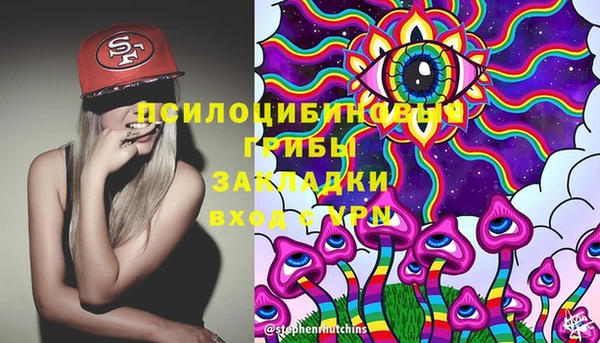 амф Алексеевка