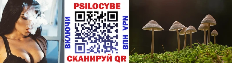 гидра ссылки дарнет шоп Калининск Псилоцибиновые грибы MAGIC MUSHROOMS